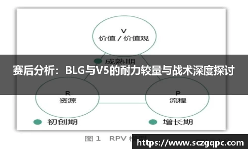 zoty中欧登录入口